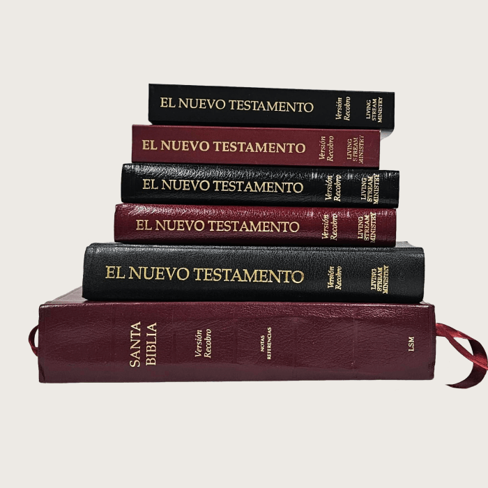 La Santa Biblia Versión Recobro